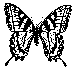 adult-s.gif (625 bytes)