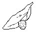 egg-s.gif (1149 bytes)